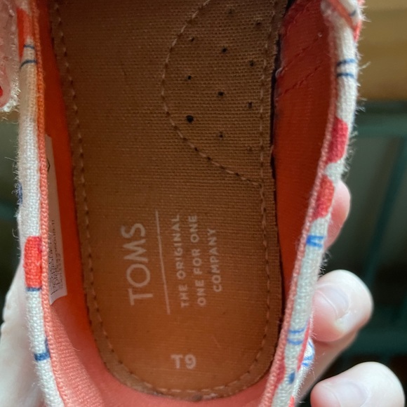 Toddler size 9 Toms - Picture 3 of 3